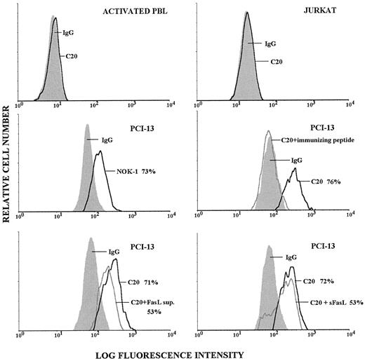 Fig. 2. Surface expression of FasL on normal activated PBMCs, Jurkat cells, and PCI-13 cells. Tumor cells were dissociated, stained with pretitered anti-FasL or isotype control Abs by the indirect immunofluorescence method, and examined by flow cytometry. With C-20 Ab, blocking experiments using rFasL, FasL-containing supernatants, or the immunizing peptide were performed as described in “Materials and Methods.” All Abs were tested in the same experiment. The data are representative of at least four experiments. The percentages of positive PCI-13 cells are indicated in each panel.