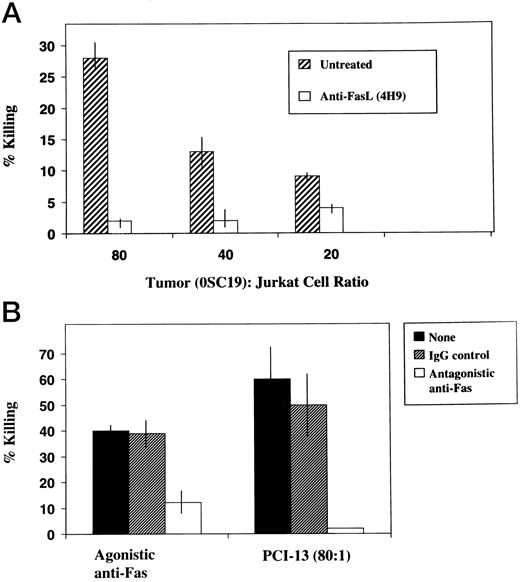 Fig. 8. Inhibition of tumor-induced apoptosis by preincubation of tumor cells with anti-FasL Ab (4H9; A) or by blocking of Fas on Jurkat cells. Apoptosis of Jurkat cells was measured in JAM assays. In A, inhibition by 4H9 Ab was significant of P < 0.001. Isotype control (not shown) was not different from untreated tumor cells. In B, as a control for tumor cells, agonistic anti-Fas Ab (CH-11) was used to induce Jurkat cell killing (left). Killing of Jurkat cells by PCI-13 or CH-11 Ab was significantly inhibited (P < 0.0001) in the presence of ZB4 anti-Fas Ab (200 ng/ml) but not of isotype control Ab. The data are mean percentages ± SD.