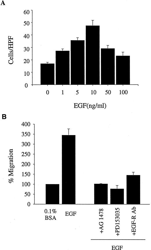 Fig. 1. EGF stimulates a strong migratory response in MDA-MB-231 cells. Analysis of the migratory response of the MDA-MB-231 cells to EGF (1–100 ng/ml) was performed using the 48 microchemotaxis chamber assay as described in “Materials and Methods.” A, the MDA-MB-231 cells displayed a characteristic chemomigratory bell-shaped curve toward EGF, with optimal migration observed at 10 ng/ml EGF. B, the migration toward EGF (10 ng/ml) was inhibited to background migration levels when the cells were incubated at room temperature with the EGF-specific tyrosine kinase inhibitors AG1478 (2 μm) and PD153035 (1 μm) as well as an EGFR blocking antibody (0.4 μg/ml). The data are expressed as the mean ± SD of cell counts taken from 12 high-powered fields (four fields from each replicate well) or as the percentage of migration ± SD relative to unstimulated migration (0.1% BSA). The results are representative of at least three independent experiments (except for those of the PD153035 compound, which was performed on one occasion in triplicate).