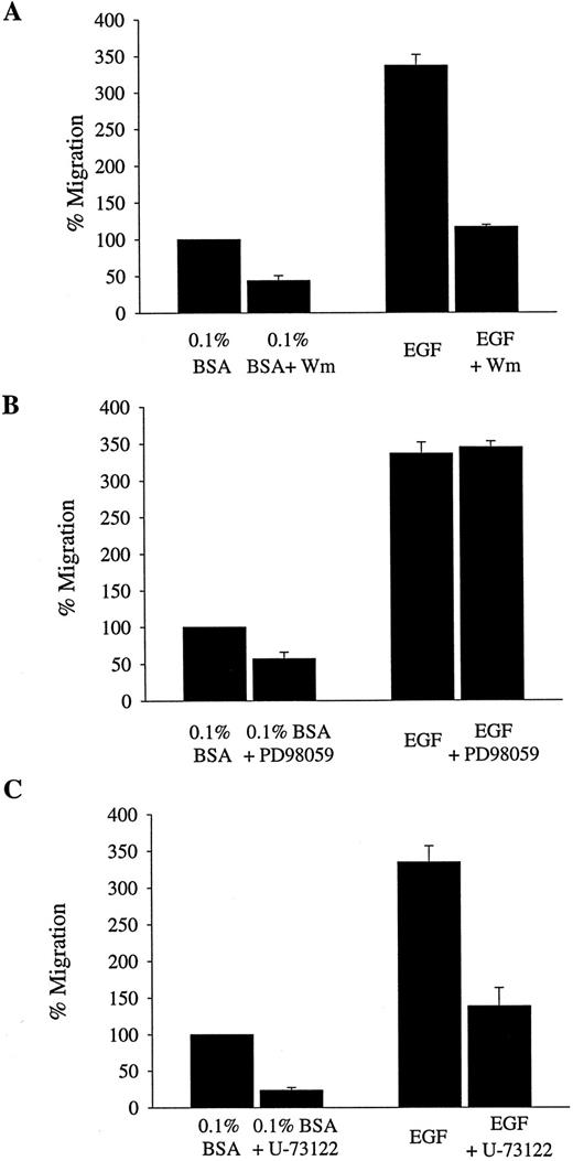 Fig. 2. Inhibition of EGF-stimulated migration with wortmannin and U73122. Cells were pretreated for 15 min at room temperature with the appropriate drug before migration analysis as described in “Materials and Methods.” A, cells were treated with the PI3K inhibitor wortmannin (Wm; 100 nm), which significantly reduced the background migration (P < 0.01) and the EGF-stimulated migration (P < 0.01). B, cells were treated with MEK inhibitor PD98059 (50 μm), which significantly reduced the background migration (P < 0.05) but had no significant effect on the EGF-stimulated migration (P > 0.05). C, cells were treated with the PLC inhibitor U73122 (2 μm), which significantly reduced the background migration (P < 0.006) and the EGF-stimulated migration (P < 0.01). Results are expressed as the percentage of migration ± SD relative to the unstimulated migration (0.1% BSA) and are representative of at least three independent experiments.