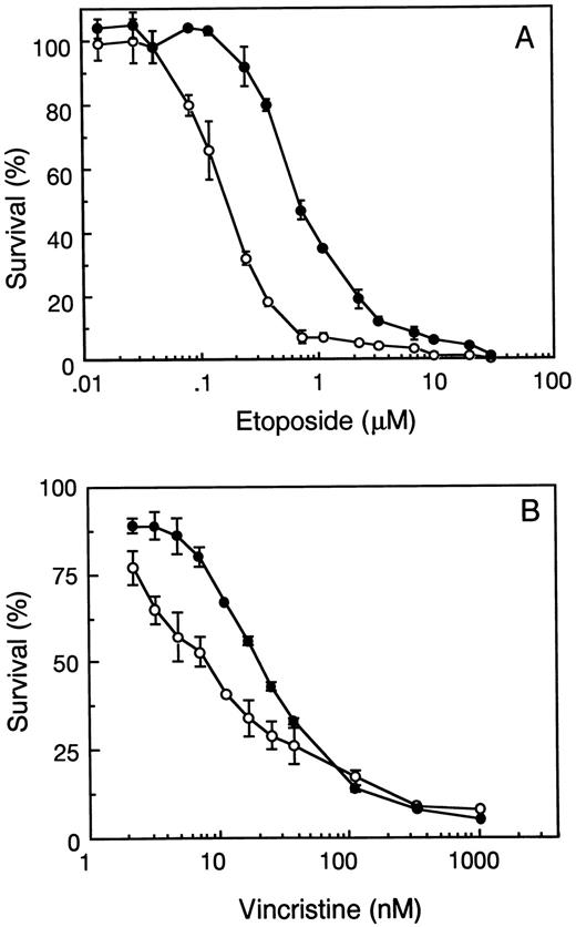 Fig. 2. Sensitivity of MRP3-transfected HEK 293 cells to etoposide (A) and vincristine (B). The drug sensitivity of parental vector-transfected cells (○) or HEK/MRP3–5 cells (•) was analyzed using the MTS/phenazine methosulfate assay as described in the “Materials and Methods.” Data points, the mean of triplicate determinations in a single experiment.