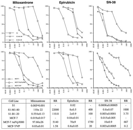 Fig. 1. Cytotoxicity curves demonstrating cross-resistance to mitoxantrone, epirubicin, and SN-38 in parental cells and four multidrug-resistant sublines. In the table, the mean IC50 plus the SE is provided. Relative resistance (RR) is calculated by dividing the IC50s of resistant cells by those of the parental cells.