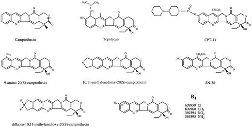 Fig. 4. Structures of the camptothecins evaluated in this study.