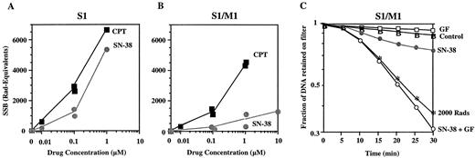 Fig. 6. Decreased topoisomerase I cleavage complexes in S1-M1-80 cells treated with SN-38 and reversal by GF120918. S1 (A) and S1-M1-80 (B) cells were treated with the indicated drug concentrations for 1 h at 37°C. Topoisomerase I cleavage complexes were assayed by measuring DNA SSBs by alkaline elution immediately at the end of drug treatments. Individual experimental points are shown (two independent experiments at 0.1 and 1 μm). Both camptothecin (CPT) and SN-38 were used in these analyses. The results are expressed as rad-equivalents. C, typical alkaline elution profile. S1-M1-80 cells were treated with 1 μm SN-38 without or with 1 μm GF120918 (GF) for 1 h.