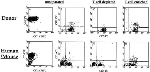 Fig. 3. Phenotypic characterization of donor PBMCs (A and B), T-depleted (C) and T-enriched (D) donor PBMCs, as well as the phenotype of lymphocytes recovered from human→mouse chimera transplanted with PBMCs (patient number 18; E and F), T-depleted (G) or T-enriched (H) PBMCs. Human→mouse chimera were prepared as described in Fig. 2<$REFLINK>. T depletion was performed ex vivo by E-rosetting with SRBCs. T-cell enrichment was attained by adding to donor PBMC T cells purified by E-rosetting. FACS analysis was performed as described in Fig. 2<$REFLINK>.