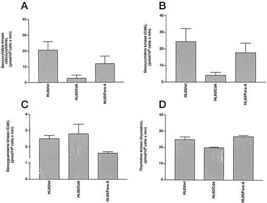Fig. 2. Enzyme activities were determined in cell extracts from HL60/wt and resistant cells HL60/CdA and HL60/Fara-A with deoxycytidine (A), CdA (B), and thymidine (D). dGK activity was measured with CdA in the presence of 1 mm deoxycytidine (C). Cells were extracted immediately, and crude extracts were used for activity measurements as described in “Materials and Methods.” Bars, SD.
