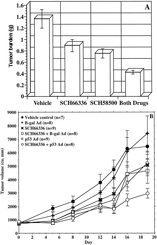 Fig. 3. SCH58500 and SCH66336 in the DU-145 human tumor xenograft model. A, i.p. tumors. Mean tumor weights ± SEM are shown. B, s.c. tumors. Mean tumor volumes ± SE are shown.