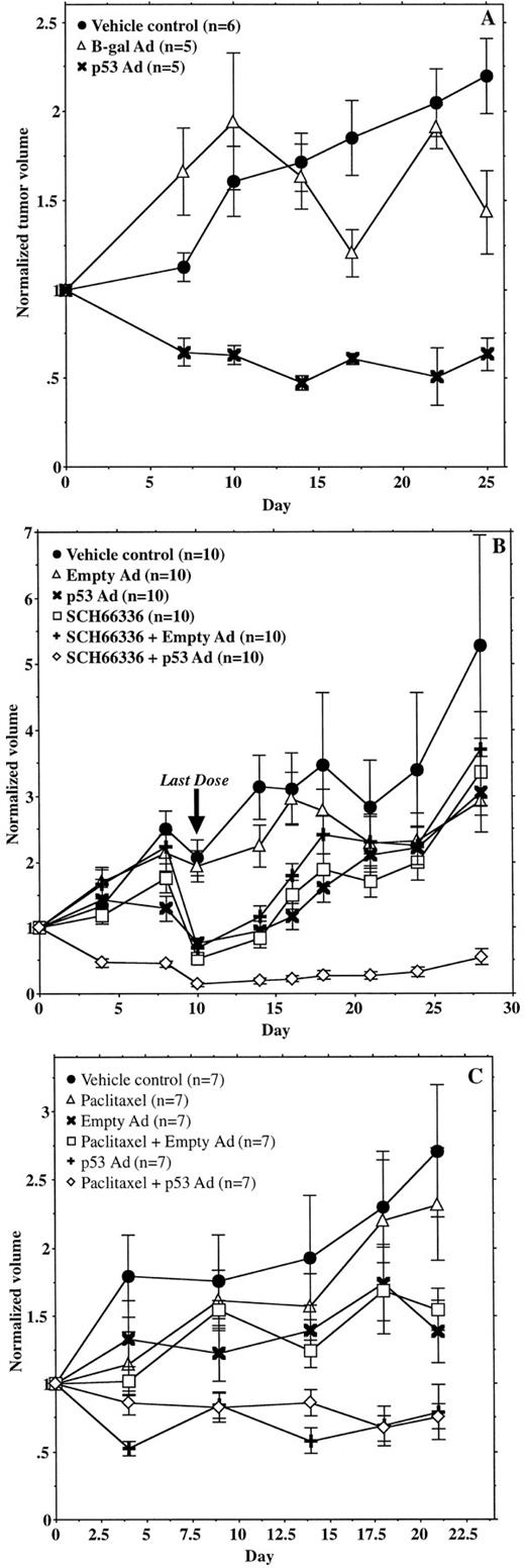 Fig. 4. SCH58500 and SCH66336 in wap-ras/F transgenic mice. A, SCH58500 alone. Tumor volumes on day 0 ranged from 236–1494 mm3. B, SCH58500 and SCH66336 combination therapy. Tumor volumes on day 0 ranged from 216–926 mm3. C, SCH58500 and paclitaxel combination therapy. Tumor volumes on day 0 ranged from 392–1481 mm3. Means of normalized tumor volumes ± SE are shown.