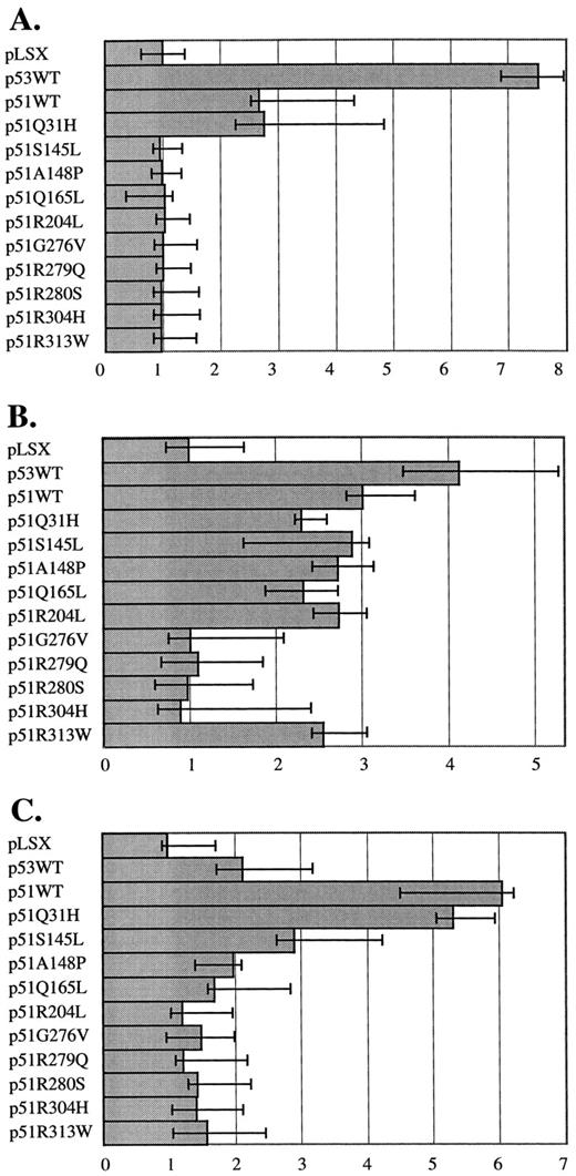 Fig. 2. Transcriptional activation activities of wild-type and mutant p51A/p63γ proteins in p53 target genes. A, WAF1; B, MDM2; C, BAX promoters. X axis, the green fluorescent intensity relative to a null expression vector (pLSX1). Bars, one SE of three values.