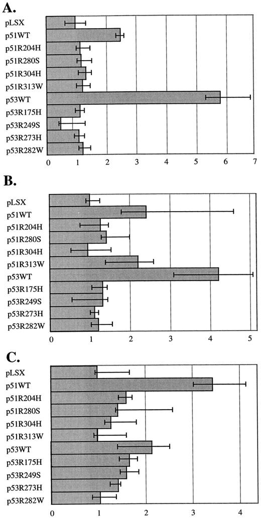 Fig. 3. Comparison of transcriptional activities for mutant p53 and mutant p51A/p63γ proteins in p53 target genes. A, WAF1; B, MDM2; C, BAX promoters. X axis, the green fluorescent intensity relative to a null expression vector (pLSX1). Bars, one SE of three values.