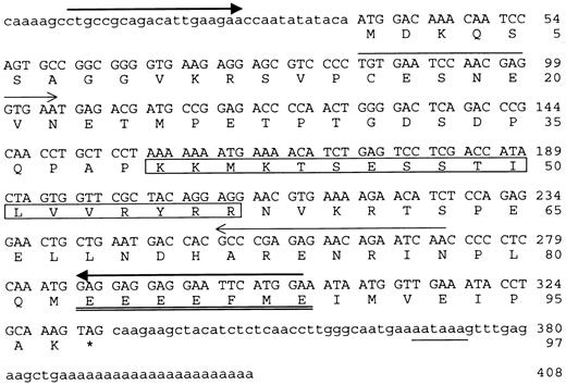 Fig. 2. CTp11 cDNA and deduced protein sequence. Primers used for PCR are indicated by arrows (closed arrowheads, first PCR; open arrowheads, nested PCR). Polyadenylation signal is underlined, putative NLS is boxed, and the poly-E acidic domain is double-underlined. *, marks the stop codon.