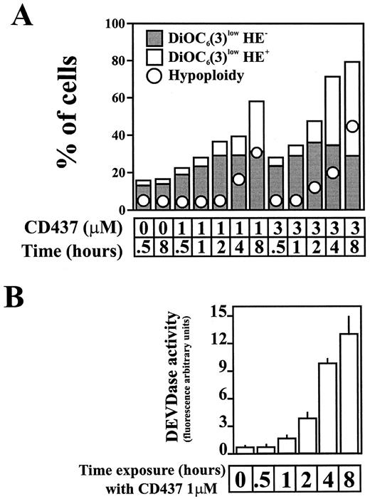 Fig. 2. CD437 induces dissipation of Δψm before nuclear apoptosis and caspases activation. A, kinetics of the CD437-induced mitochondrial and nuclear signs of apoptosis. RPMI 8226 cells were cultured in the presence of CD437 (1 μm, 3 μm), and, at the indicated times, the percentage of DiOC6(3)lowHE−, DiOC6(3)lowHE+, and subdiploid cells was determined (SD was <10%). Data are representative of three independent experiments. B, time course of caspase-3 activity. At the indicated interval after CD437 treatment, RPMI 8226 cells were lysed and assayed for DEVDase activity. Data are presented as an average of three determinations of arbitrary fluorescence units/mg of protein (±SD).