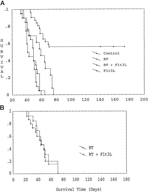 Fig. 2. A, RT followed by Flt3L increases survival in animals with established tumors. Animals with established 3-week-old Lewis lung tumors were given a single dose of localized primary tumor irradiation (60 Gy) with or without recombinant human Flt3L (500 μg/kg/day × 10 days initiated at day 1 after RT). The combination of RT + Flt3L (n = 32) significantly increased survival (median survival, >136 days; log-rank, 0.00004) when compared with control (n = 20) or the RT (n = 20) cohorts. Animals receiving Flt3L alone (n = 13) had a median survival of 59 days. B, RT + Flt3L did not impact survival in immunodeficient mice. Animals with established 3-week-old Lewis lung tumors were given a single dose of localized primary tumor irradiation (60 Gy) with or without recombinant human Flt3L. All animals died of metastatic lung infiltrate at 9 weeks in both RT and RT + Flt3L cohorts.