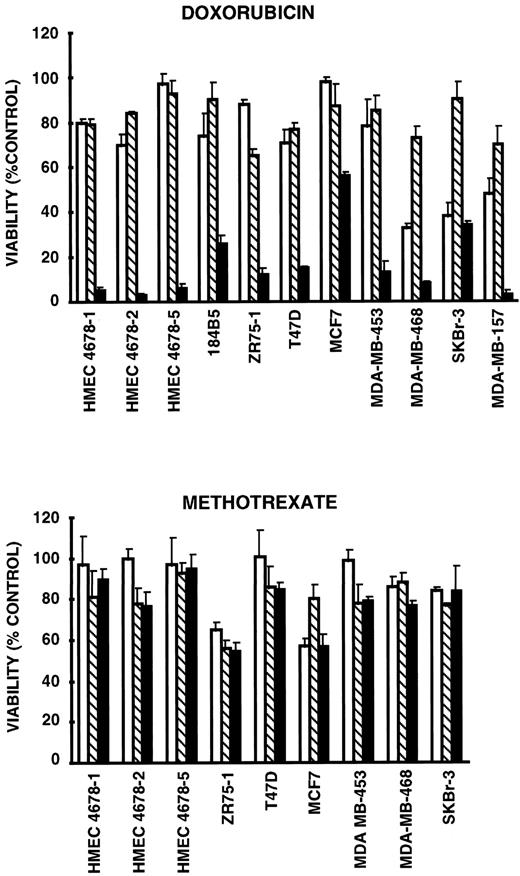 Fig. 5. Viability of TRAIL-resistant breast cell lines incubated with doxorubicin or methotrexate and TRAIL. Columns, breast cell line viability as a percentage of control cells after 16 h of incubation with chemotherapy agent (□), TRAIL (25 μg/ml ), or the combination of chemotherapy agent and TRAIL (25 μg/ml ▪). Upper panel, results for doxorubicin (5 μm); lower panel, results for methotrexate (500 μm). Data points show means for quadruplicate results from a representative experiment; bars, SD.