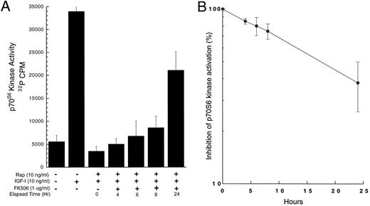 Fig. 6. A, recovery of IGF-I stimulation of p70S6K activity in the presence of FK506. Cells were serum-starved overnight and either stimulated with IGF-I in the absence of rapamycin or after 1 h exposure to rapamycin (time 0). Alternatively, after extensive washing cells were incubated in serum-free medium supplemented with 1000 ng/ml FK506. At various times (4–24 h), cells were stimulated with IGF-I and p70S6K activity determined after 1 h. Columns, means (n = 3) of a representative experiment; bars, SD. B, calculation of recovery of the mTOR pathway after rapamycin treatment. Data from A were replotted as percentage inhibition of IGF-I stimulation of p70S6K activity with time after adding excess FK506 to cell cultures. Maximal stimulation (0% inhibition) was taken as that induced by IGF-I in the absence of rapamycin (A, second column). Maximal inhibition (100%) was taken as the stimulation by IGF-I immediately after a 1-h exposure to rapamycin.