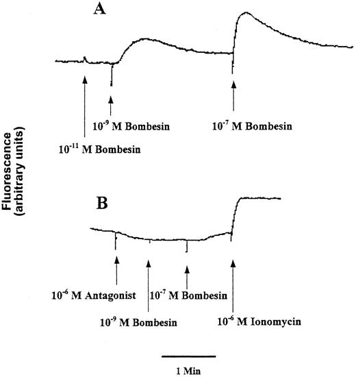 Fig. 3. Effect of bombesin on cytosolic free ionized calcium in Isreco1 cells. A, cells were loaded with 1 μm Fura-2/AM and assayed fluorometrically for the increase in [Ca2+]i in response to 10−11, 10−9, and 10−7 m bombesin. B, inhibition of the bombesin-induced cytosolic free calcium mobilization by the specific antagonist (d-Phe6,Cpa14,ψ13–14)Bn6–14. Ionomycin was used in each case to check the effects of cell permeabilization to extracellular calcium. Recordings are representative of three separate experiments.