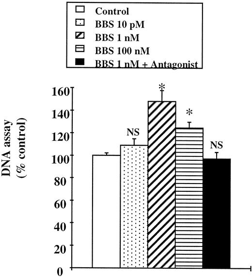 Fig. 6. Effect of bombesin (BBS) on Isreco1 cell adhesion to collagen I. Cells (3 × 105/well) were seeded onto collagen I-coated 24-well plates and allowed to adhere for 15 min at 37°C. Total DNA was measured from PBS washing-resistant cell lysates. The specific antagonist (d-Phe6,Cpa14,ψ13–14)Bn6–14 was used at a concentration of 10−6 m. Columns, means of three separate experiments, each performed in triplicate; bars, SE. ∗, significantly different from control; NS, nonsignificant versus control.