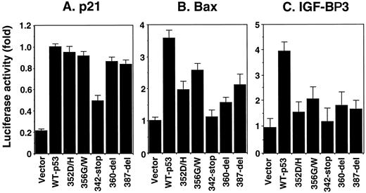 Fig. 5. Sequence-specific transcriptional activation by wild-type p53 (WT-p53) and the CTD mutants in LFS fibroblasts. Activities of the p21 promoter WWP-Luc-p21 (A), Bax promoter PGL3-Luc-Bax (B), and IGF-BP3 promoter pUHC13–3-Luc-IGF BP3-Box B (C) were detected by cotransfection of the p53 plasmid. Results represent the mean of three independent experiments; bars, SD.
