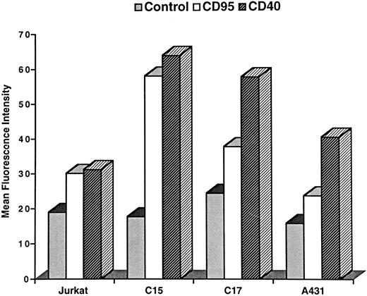 Fig. 1. Flow cytometry analysis of CD95 and CD40 expression on cells derived from the C15 and C17 NPC tumor lines. Negative control samples were incubated with purified mouse IgG1 (10 μg/ml; Sigma, France). CD95 and CD40 molecules were stained with the UB2 (10 μg/ml) and the MAB 89 (5 μg/ml) antibodies. Fluorescence intensities were determined after subtraction of the dead cells stained with propidium iodide. Similar results were obtained in three independent experiments.