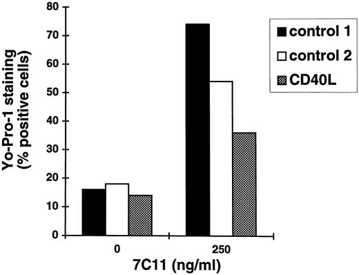 Fig. 7. Protection against Fas-mediated apoptosis by engagement of CD40. Assessment of apoptotic NPC cells. As in Fig. 6<$REFLINK>, CD40 stimulation was provided by co-cultivation with transfected murine L cells expressing the CD40 ligand. Apoptotic C15 cells were identified by flow cytometry analysis based on the uptake of YO-PRO-1, a fluorescent nucleic acid stain. Background YO-PRO-1 staining was determined on a suspension of viable L cells processed in the same experiment. Y-axis values are percentages of YO-PRO-1-positive cells among all cells gated out of HLA I-negative staining, reduced forward scatter, and strong side scatter (to eliminate murine cells and dead cells). This is one of three similar experiments. Control 1, C15 cells incubated without control or stimulating cells (5 × 105 cells/well); control 2, C15 cells incubated with nontransfected L cells (5 × 105 C15 cells + 2.5 × 105 L cells/well); CD40L, C15 cells incubated with L cells producing CD154 (same ratio of C15 and L cells).