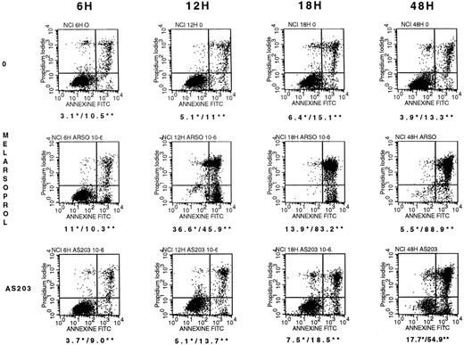 Fig. 4. Two-color FACS analysis of NCI cells after staining with fluorescein-labeled annexin-V and PI. Before staining, cells were cultivated with medium alone (upper panels), 10−6 mol/L melarsoprol (middle panels), or 10−6 mol/L As2O3 (lower panels) for 6, 12, 18, and 48 h. Although cell death was unusually high in the control cultures of this experiment, percentages of annexin-positive, PI-negative apoptotic cells (*) and of double-positive necrotic cells (**) were very significantly higher in arsenic-treated cells, particularly in melarsoprol-treated cells in which apoptosis and necrosis occurred earlier than in As2O3-treated cells.