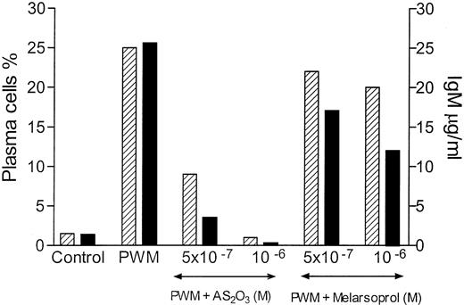 Fig. 6. PWM-induced differentiation of mononuclear cells purified from the peripheral blood of a normal donor in the presence of two different concentrations (10−6 mol/L and 5 × 10−7 mol/L) of As2O3 or melarsoprol. Viable plasma cells were numerated at day 5 after immunofluorescence staining with anti-immunoglobulin antibodies (▨). IgM concentrations in supernatants were also measured at day 5, by ELISA (▪). PWM-induced plasma cell differentiation was inhibited slightly by melarsoprol and more markedly by As2O3. Similar results were obtained in blood mononuclear cells from 3 other normal donors.