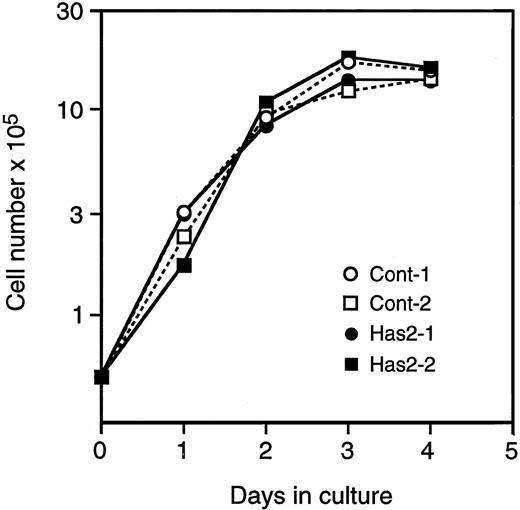 Fig. 3. Growth of Has2-transfected cells in monolayer cultures. Cells were plated in 35-mm wells in six-well tissue culture plates at 5 × 104 cells/well and cultured in growth medium. At time points indicated in the figure, duplicate wells were trypsinized, and cell numbers were counted using a hemacytometer.