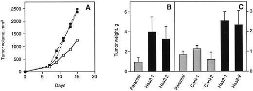 Fig. 6. Enhanced tumorigenicity of Has2-transfected cells. In vivo tumor growth assays in nude mice were performed as described in “Materials and Methods.” A, time course of tumor growth. Growth of the tumors was evaluated by measuring tumor volume from the width and length of a palpable tumor as described in “Materials and Methods.” Cells examined in this experiment were: □, parental HT1080; •, Has2-1; ▪, Has2-2. Data points, mean tumor volumes from four (parental HT1080) or five (Has2-1 and Has2-2) animals. B and C, tumor weights at termination of experiments. Results of two separate experiments (B and C) are shown. All animals involved in each experiment were sacrificed when the sign of distress was observed in any one animal in the experiment, which occurred at day 16 in B and day 13 in C. Columns, mean tumor weights per animal (i.e., the sum of tumor weights in both flanks) for each cell line; bars, SD. Numbers of animals examined were four for parental HT1080 and five for Has2-1 and Has2-2 in B and four for each cell line in C.