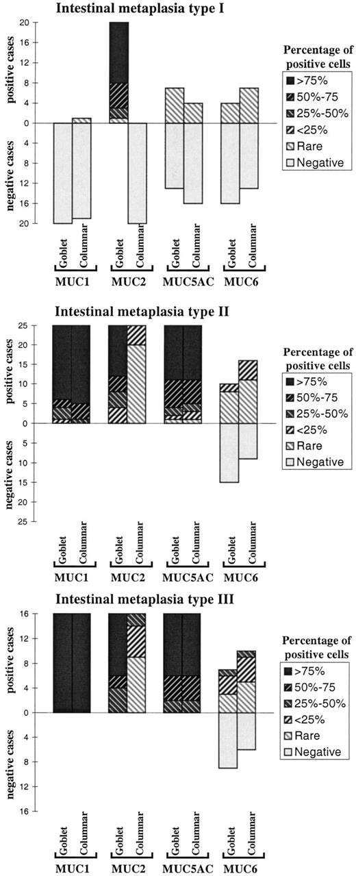 Fig. 2. Diagram with the expression results of mucins in intestinal metaplasia type I, type II, and type III.