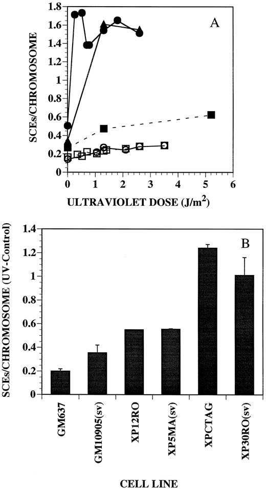 Fig. 3. A, frequencies of SCEs induced by UV light in primary cultures of FS and XP30RO fibroblasts and in SV40-transformed GM637 and XP30RO(sv) cells. Results shown are means and SEs of the mean when three or more determinations were made. □, FS fibroblasts; ○, XP30RO fibroblasts; ▪, SV40-transformed normal, GM637 cells; •, XP30RO(sv) cells. B, frequencies of SCEs induced by 1.3 J/m2 above those in unirradiated cells of the same SV40-transformed strain. Results shown are means and SEs of the mean, when three or more determinations were made, and mean and range, when two determinations were made. GM637, normal cells (five determinations); GM10905(sv), Cockayne’s syndrome group B (two determinations); XP12R0, group A (one determination); XP5MA(sv), XPV strain (two determinations); XPCTAG, XPV (two determinations); XP30R0(sv), XPV (six determinations).