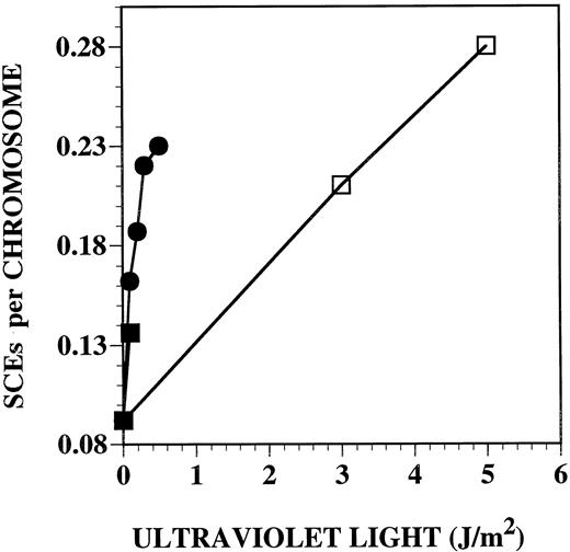 Fig. 7. Induction of SCEs after irradiation with UV light in normal (□, GM037) and XPV (•, XP5MA; ▪, XP30RO) cells transformed by HPV16(E6/E7).