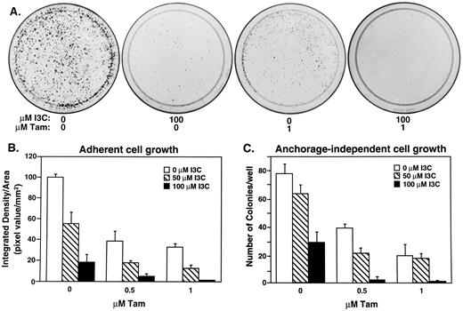 Fig. 3. Effects of I3C and tamoxifen on low confluency cell colony number in MCF-7 cells on plastic and in soft agar. A, four representative 100-mm plates of MCF-7 cells cultured for 8 days in the presence of the indicated concentrations of I3C and tamoxifen (Tam). At the end of the treatment the cells were fixed and stained as described in “Materials and Methods.” B, quantification of the amount and size of the colonies on each plate treated with the indicated combination of I3C and tamoxifen was determined by calculating the integrated density using NIH Image. Data shown represent a detailed dose response. Columns, average of triplicate samples, expressed as integrated density in pixel value/area in mm2; bars, SE. C, 500 MCF-7 cells were cultured in 0.3% soft agar as described in “Materials and Methods.” After 4.5 weeks at the indicated concentrations of I3C and/or tamoxifen, colonies that were >50 μm in diameter were counted. Columns, average of triplicate samples; bars, SE.