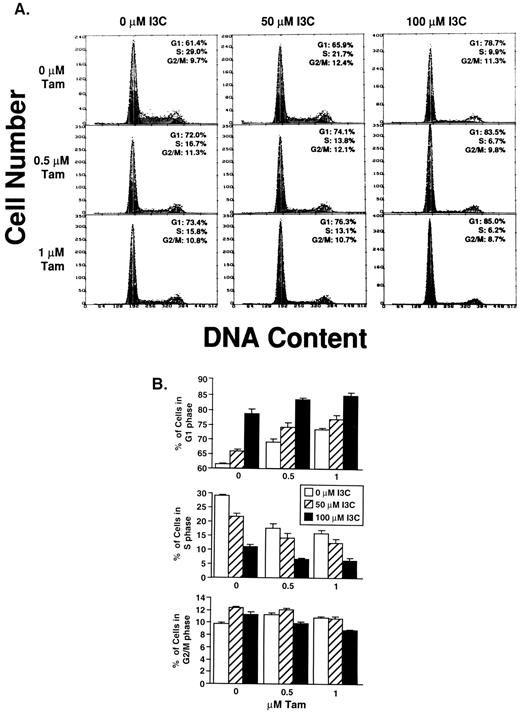 Fig. 4. Effects of I3C and tamoxifen on DNA content of MCF-7 cells. A, MCF-7 cells were treated with the indicated combinations of concentrations of I3C and tamoxifen (Tam) for 96 h. Cells were then stained with propidium iodide, and nuclei were analyzed for DNA content by flow cytometry with a Coulter Elite Laser. A total of 10,000 nuclei were analyzed from each sample, and the percentages of cells within G1, S, and G2-M were determined as described in “Materials and Methods.” Representative profiles are shown for each condition, and the numbers in the upper right corner of the profiles are an average of triplicate samples. B, results from the flow cytometry profiles were converted into bar graphs. Top, G1; middle, S; bottom, G2-M, after the indicated treatments of doses of I3C and tamoxifen (Tam) for 96 h. Bars, SE.