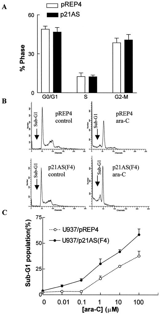 Fig. 2. A, cells were incubated with propidium iodide, and cell cycle characteristics were determined using a Becton Dickinson FACScan flow cytometer and ModFit software as described in “Materials and Methods.” The percentage of cells in the G0/G1, S, and G2-M fractions of the cell cycle represent the means for three separate experiments; bars, SD. B, after exposure to 1 μm ara-C for 6 h, cell pellets were incubated in 70% ethanol overnight at 4°C to promote loss of fragmented DNA. The cells were then treated with propidium iodide and subjected to cell cycle analysis as above. The sub-G1 populations, corresponding to hypodiploid, apoptotic cells, are shown under the arrows. C, pREP4 and p21AS/F4 cells were exposed to the designated concentration of ara-C for 6 h, after which the sub-G1 fraction was quantified by flow cytometry as above. Values represent the means for three separate experiments; bars, SD.
