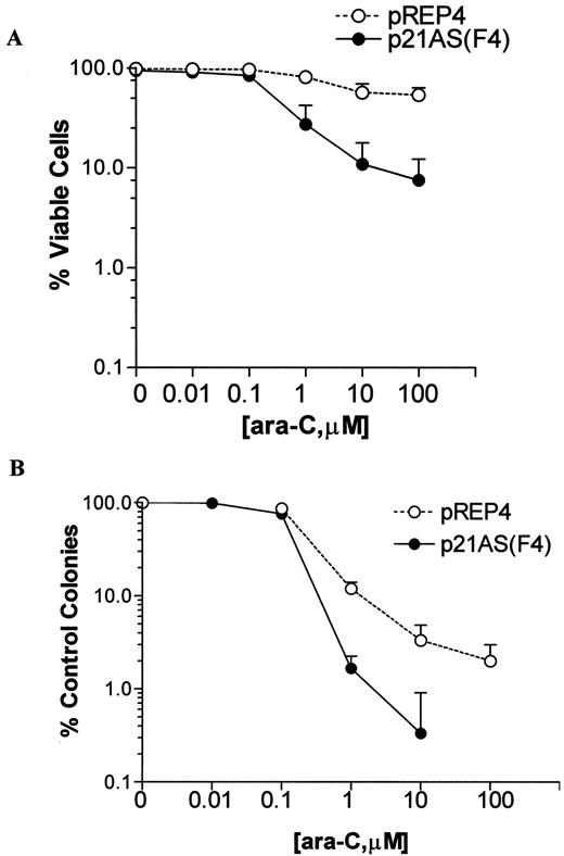 Fig. 4. A, pREP4 and p21AS/F4 cells were exposed to the designated concentration of ara-C for 6 h, washed, and resuspended in drug-free medium for an additional 24 h. The percentage of viable cells (relative to untreated controls) was determined by monitoring trypan blue exclusion as described in the text. Values represent the means for three separate experiments; bars, SD. B, cells were exposed to the designated concentration for 6 h, washed free of drug, and plated in soft agar as described in “Materials and Methods.” Colonies, consisting of groups of ≥50 cells, were scored on day 12. Values are expressed as the percentage of colonies formed relative to untreated controls and represent the means for three separate experiments; bars, SD.