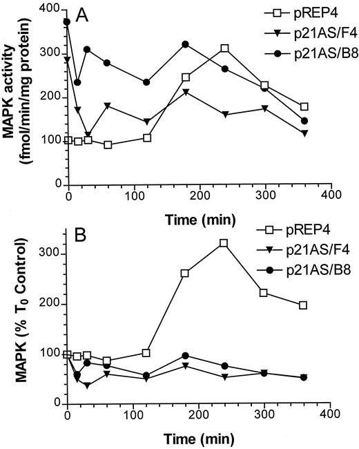 Fig. 7. A, logarithmically growing pREP4 (□), p21AS/F4 (▾), and p21AS/B8 (•) cells were exposed to 1 μm ara-C for 6 h, and at the designated intervals, MAP kinase activity, manifested by the phosphorylation of myelin basic protein, was determined as described in “Materials and Methods.” Values, expressed as fmol [32P]myelin basic protein/min/mg protein, represent the means for duplicate experiments. B, MAP kinase activity was monitored in ara-C-treated cells as described above and at each interval was expressed as a percentage relative to T0 control values. In each case, variability between experiments was generally ≤15%.
