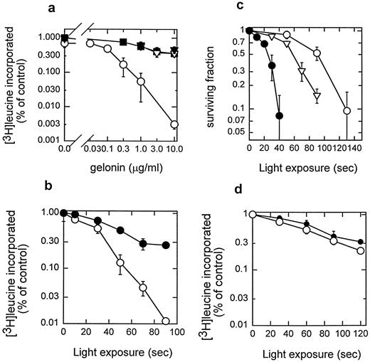 Fig. 2. Cytotoxic effect of combining photochemical and gelonin treatment in NHIK 3025 cells. The cells were treated with 3.2 μg/ml TPPS2a (a-c) or 0.2 μg/ml liposome-bound ZnPc (d) and the indicated concentration of gelonin for 18 h, followed by 1 h in drug-free medium before exposure to light. Protein synthesis was measured as described previously (24). a, protein synthesis after treatment with gelonin alone (▪), gelonin and 50 s of light (▾), gelonin and TPPS2a (▿), and gelonin and TPPS2a in combination with 50 s of light (○). b, protein synthesis after treatment with TPPS2a and light in the absence (•) or presence of 0.2 μg/ml gelonin (○). c, colony-forming ability of cells treated with TPPS2a and light in the absence (○) or presence of 0.2 μg/ml (▿) or 2 μg/ml (•) gelonin. d, protein synthesis in cells treated with ZnPc and light in the absence (•) or presence of 1 μg/ml gelonin (○).