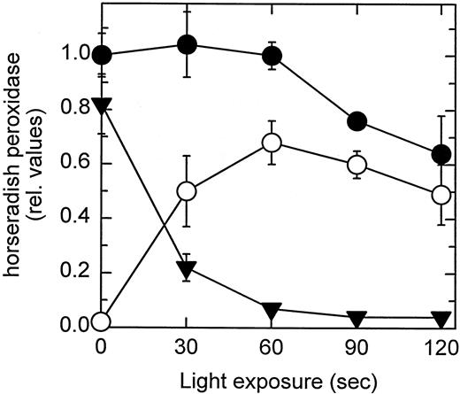 Fig. 3. Ability of PCI to deliver HRP into the cytosol. NHIK 3025 cells were treated with 3.2 μg/ml TPPS2a and 1 mg/ml HRP for 18 h. The medium was then replaced with drug-free medium before exposure to the indicated light doses. HRP activity (25) was measured in intact cells (○) and in cytosol (•) separated from cytosol-free cell corpses (▾) by electropermeabilization and a density centrifugation technique (10).