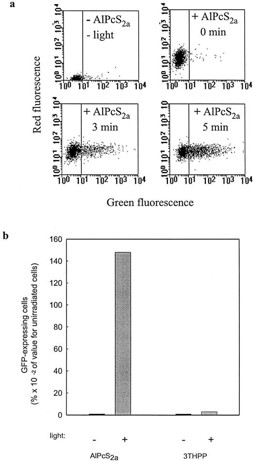 Fig. 5. Photochemically induced expression of GFP. a, expression of GFP in THX cells treated with pEGFP-N1-pLys complex in the absence of AlPcS2a and light or in the presence of AlPcS2a followed by exposure to light as indicated on the figure. The cells were analyzed by flow cytometry, reckoning the cells on the right side of the drawn line as positive for GFP expression. b, expression of GFP in THX cells treated for 18 h with a photosensitizer (20 μg/ml AlPcS2a or 0.25 μg/ml 3-THPP) followed by a 6-h transfection with pEGF-N1-pLys complex and exposure to light inactivating 50% of the cells. GFP expression was analyzed by flow cytometry as described in a.