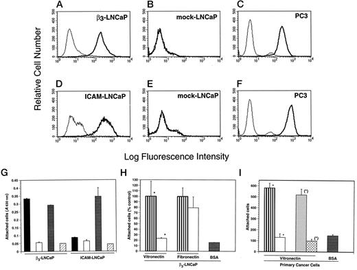 Fig. 2. β3-LNCaP and primary cancer cells adhere to VN in an αvβ3-dependent manner. A–F, surface expression of αvβ3 is shown by FACS analysis: β3-LNCaP (A), mock-LNCaP (B and E), PC3 (C and F), or ICAM-LNCaP (D). A–C, the bold line shows cells labeled using LM609, monoclonal antibody to αvβ3, and the thin line shows cells labeled using 1C10, negative control monoclonal antibody. D–F, the bold line shows cells labeled using 2D5, monoclonal antibody to ICAM-1, and the thin line shows cells labeled using 14E11, negative control monoclonal antibody. G–I, β3-LNCaP and primary cancer cell adhesion to VN. G, β3-LNCaP or ICAM-LNCaP cells (1 × 105) were allowed to attach to VN (▪) or BSA (□; both at 3 μg/ml), L230 (), or negative control (▨) hybridoma medium (coating concentrations, 1:500) for 1 h. H, β3-LNCaP cells (1 × 105) were allowed to attach to VN or FN (both at 3 μg/ml) in the presence of LM609 or 1C10 (both at 1:1000) for 105 min. H, the results are shown as the percentage of attachment to VN or FN in the presence of the negative control antibody 1C10. The differences between 1C10 and LM609 effects on VN attachment were statistically significant (*, P < 0.03; , 1C10; □, LM609). I, effect of LM609 on primary prostate cancer cell adhesion to VN. Primary cancer cells (2.5 × 104) labeled by [51Cr]sodium chromate were allowed to attach to VN in the presence of 1C10 (), LM609 (□), control IgG (▨), or rabbit antibody () to the VN receptor (all at 1:500), or BSA (; 3 μg/ml) for 120 min. The differences in cell adhesion to VN between LM609 and 1C10 or between antibody to the VN receptor and control IgG, indicated by asterisks, were statistically significant (P < 0.05). In all of the above, consistent results were obtained from at least two different experiments. Representative experiments are shown. G–I, bars are the mean ± SE (n = 3).