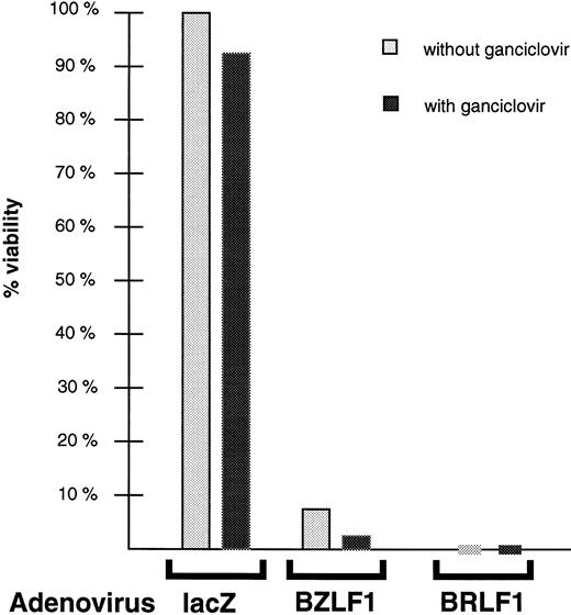 Fig. 5. The BZLF1 and BRLF1 adenovirus vectors induce killing of Jijoye cells in the presence or absence of GCV. Jijoye cells were infected with the BZLF1-, BRLF1-, or lacZ-expressing adenovirus vectors (MOI of 50) with or without concomitant administration of 10 μm ganciclovir. Cell viability was determined by trypan blue exclusion 9 days after infection. Results are normalized such that growth of Jijoye cells infected with the lacZ vector (in the absence of GCV) is set at 100%. Similar results were obtained in several independent experiments.