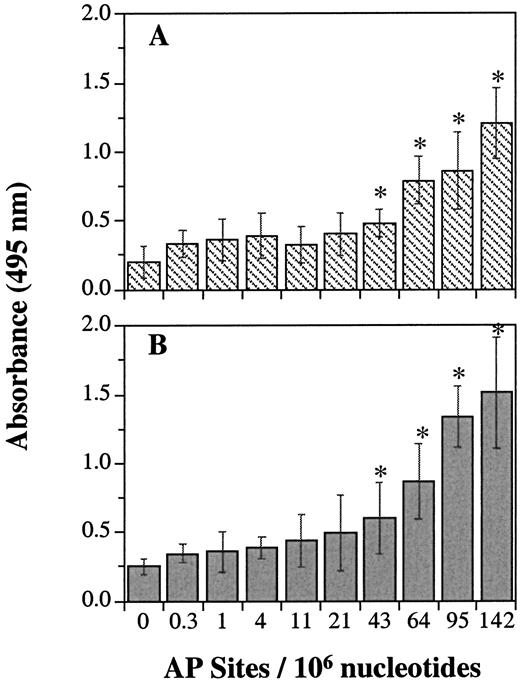 Fig. 2. Measurements of AP sites in DNA using the NARP (A) or ARP (B) reagent. DNA containing a known amount of AP sites due to treatment with DMS was serially diluted with DNA from CHO cells and then assayed with the aldehyde-reactive reagents. DNA from untreated CHO cells was used as a control for the background level of AP sites. Results are reported as induced AP sites above this background level. Columns, means of four independent determinations; bars, SD. *, values were significantly different from the control value (P < 0.05), as determined by the Student’s t test.