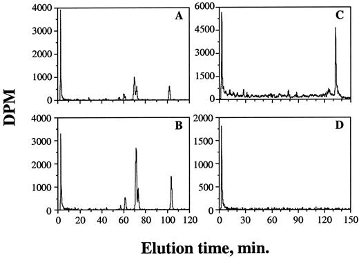 Fig. 4. HPLC elution profiles of the 33P-postlabeled DB[a,l]P-DNA adducts. DNA samples obtained from MCF-7 cells treated with 1 μm (A) or 2 μm (B) DB[a,l]P for 4 h. C, DNA incubated with 20 μm DB[a,l]P in the presence of HRP-H2O2. D, DNA obtained from HL-60 cells treated with 6 μm DB[a,l]P for 4 h.