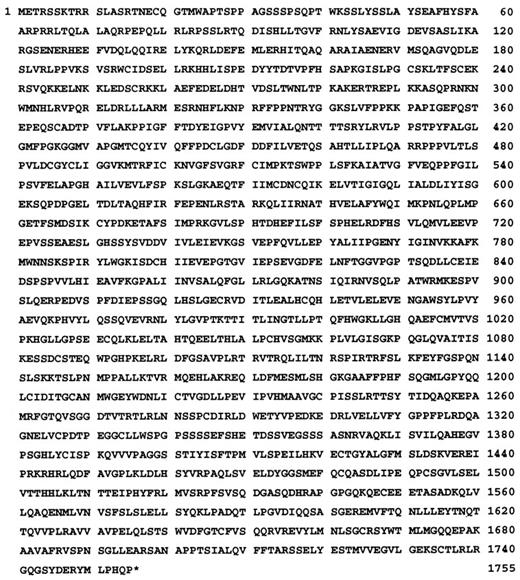 Fig. 2. Amino acid sequence of the DLC1 gene product. The cDNA and genomic sequence data will appear in the DDBJ, EMBL, and GenBank databases with accession numbers AB020522 and AB010443, respectively. *, stop codon.