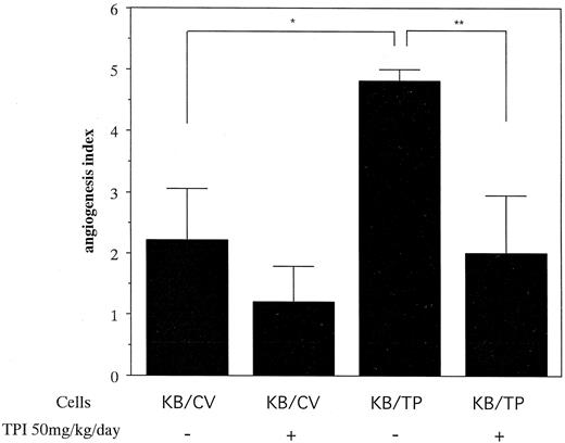 Fig. 4. Inhibitory effect of TPI on the angiogenic response. Four days after the implantation of a chamber containing KB/TP or KB/CV cells, the effect of TPI on angiogenesis was assessed. Statistical significance was determined by Student’s t test (mean ± SE; n = 5). *, P = 0.0186; **, P = 0.0203.