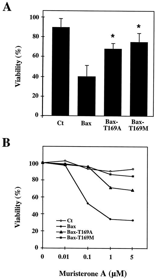 Fig. 2. Effect of induction of Bax, Bax-T169A, and Bax-T169M expression on viability of 293 cells. A, cells were incubated with 5 μm muristerone A for 48 h, and cell viability was determined by the MTT assay. Results correspond to the average of eight independent experiments performed in triplicate (*, P < 0.001 versus Bax); bars, SD. Ct, control cells. B, cells were incubated with increasing concentrations of muristerone A for 48 h, and cell viability was determined by the MTT assay. Results correspond to one representative experiment performed in triplicate.