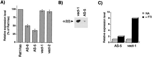Fig. 3. Reduced expression of α2(I) collagen in Rat1/ras expressing an antisense gene. A, basal expression, protein. ELISA was performed using an anti-collagen α2(I) antibody and identical amounts of media taken from culture dishes to compare the level of α2(I) collagen secretion. Antisense clones 5 and 6 showing reduced α2(I) collagen levels relative to vector control cell lines, and the parental Rat1/ras cell line is shown. B, basal expression, message. Northern analysis was performed to compare steady-state levels of α2(I) message. Antisense clone 5 exhibited a reduction relative to the control line vector clone 1. Equivalent loading of RNAs was confirmed by ethidium bromide staining of the Northern gel. C, FTI-induced expression, protein. Relative level of α2(I) collagen secreted by vector clone 1 and antisense clone 5 cells into growth media treated 24 h with vehicle or FTI is shown.