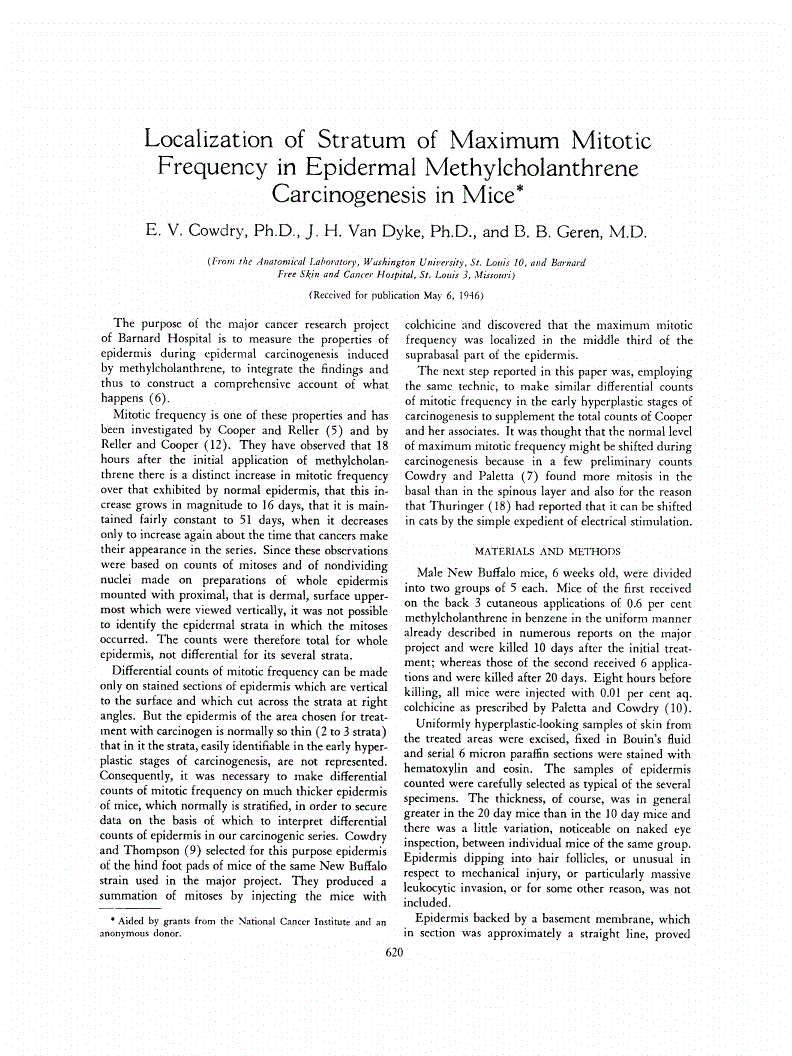 First page of Localization of Stratum of Maximum Mitotic Frequency in Epidermal Methylcholanthrene Carcinogenesis in Mice<xref rid="FN1" ref-type="fn"><sup>*</sup></xref>