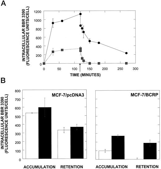 Fig. 2. Measurement of intracellular BBR 3390 content. A, time course of BBR 3390 accumulation and retention. MCF-7 cells transfected with the vector (•) or with the BCRP expression construct (▪) were incubated with BBR 3390 or incubated with the drug, washed, and incubated in medium without the drug. Samples were collected at various times and analyzed by flow cytometry. Arrow, the time point at which BBR 3390 was washed from the cells. B, effect of FTC on BBR 3390 accumulation and retention. MCF-7 cells transfected with the vector (left panel) or the BCRP cDNA (right panel) were incubated with 5-μm BBR 3390 in the absence (open bars) or presence (solid bars) of 10μ m FTC. Parallel samples were washed and incubated in medium without BBR 3390 (without or with FTC) for an additional 30 min. The cells were collected and analyzed by flow cytometry. The mean fluorescence of duplicate samples is shown along with the range.