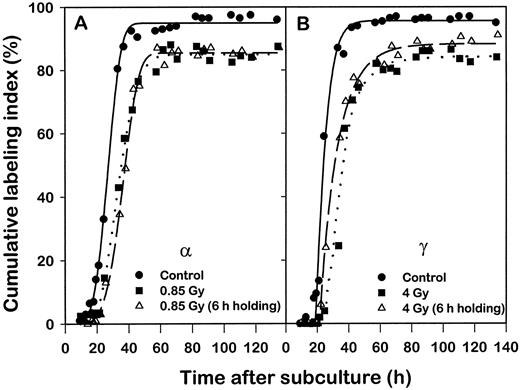Fig. 3. Cumulative labeling index as a function of time after release from confluent, density-inhibited growth of AG01521 cells that were either nonirradiated (——), irradiated (· · · · ·),or irradiated and held in confluence at 37°C for 6 h(- - - - -). A, α-particle irradiated; B, γ-irradiated.